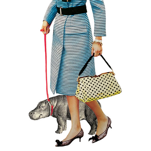 Collage Hippo
